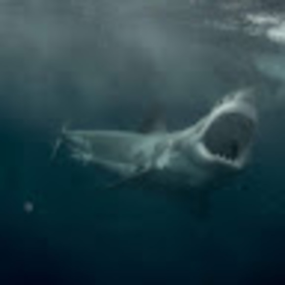 Meet your Posher, Joe - Picture 1 of 1